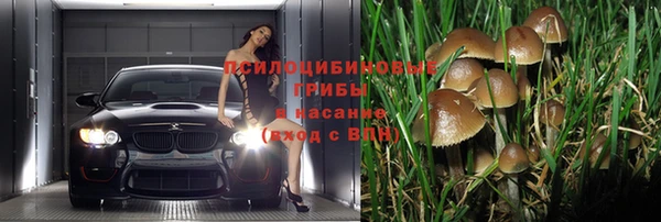 прущая мука Алзамай