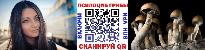 Галлюциногенные грибы прущие грибы  продажа наркотиков  Балашиха 
