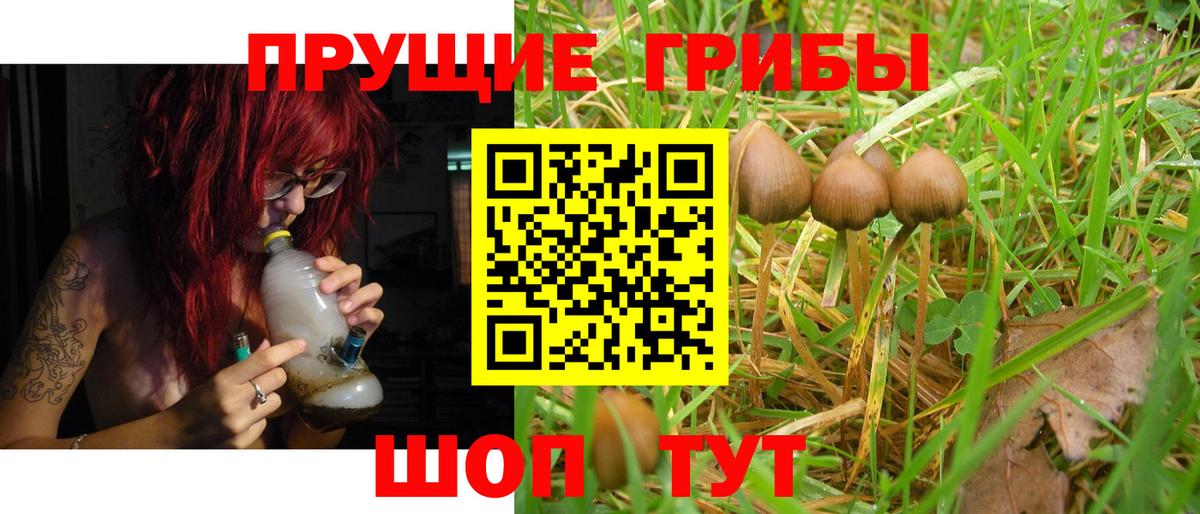 Балашиха  Галлюциногенные грибы ЛСД  Вход с VPN 