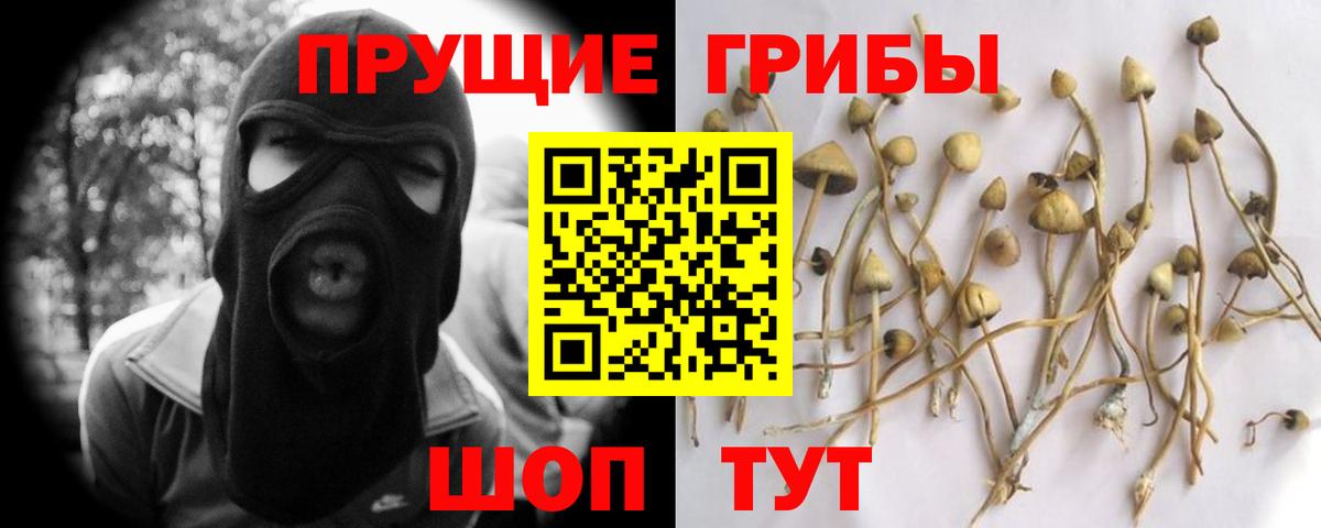 Галлюциногенные грибы Cubensis Балашиха